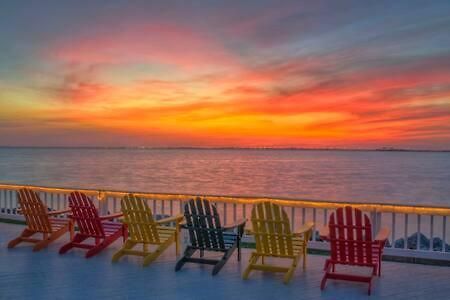 The Hemingway Subtropical Luxury On The Tampa Bay Villa Eksteriør bilde